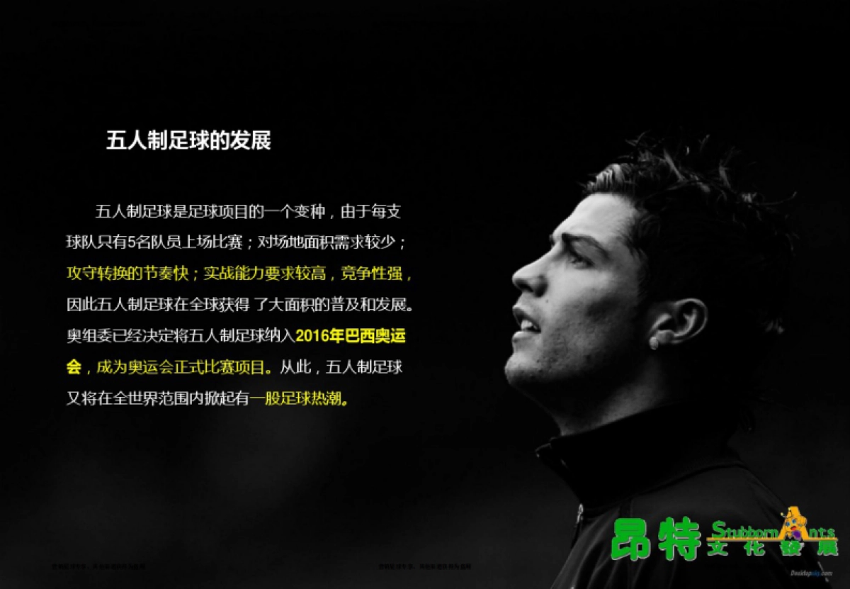 哈尔滨大学·五人足球赛招商方案 _第4页