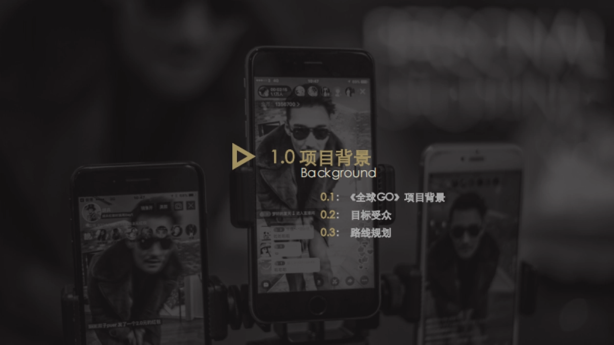 胡兵全球GO项目计划项目招商方案_第4页