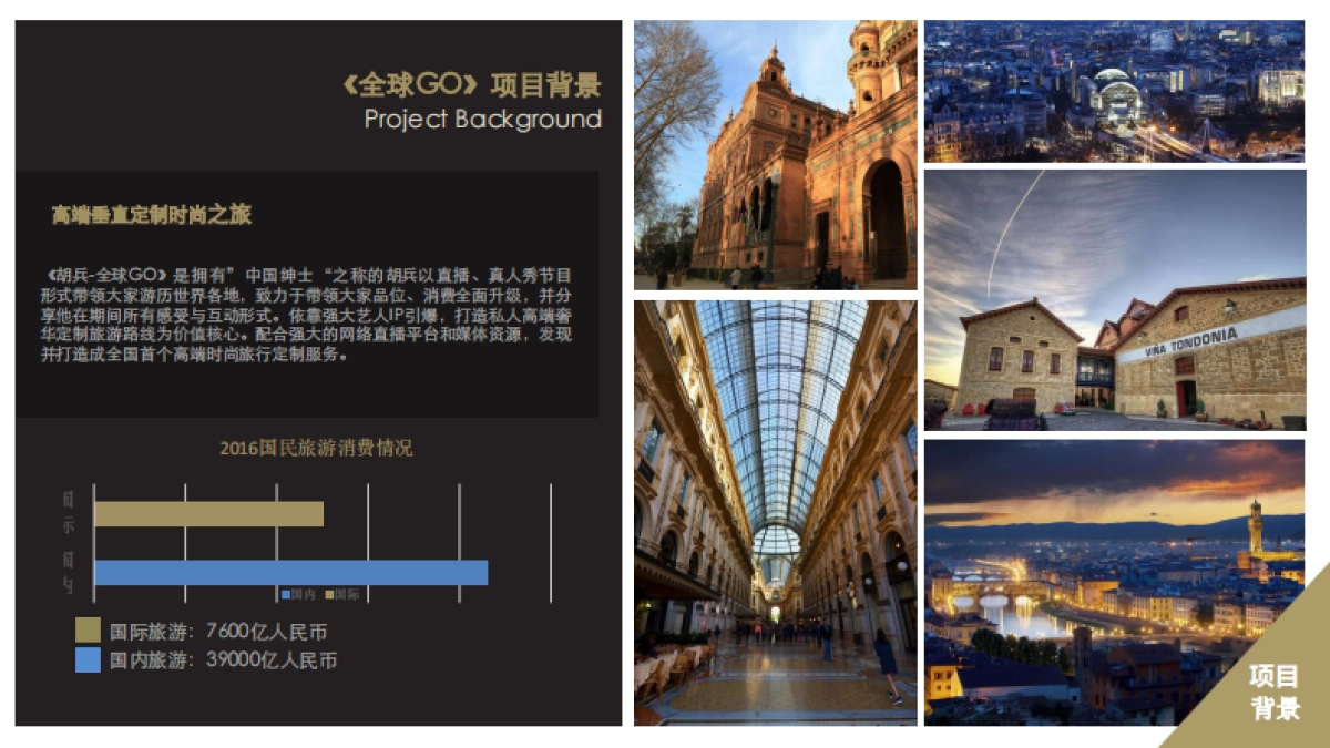 胡兵全球GO项目计划项目招商方案_第5页