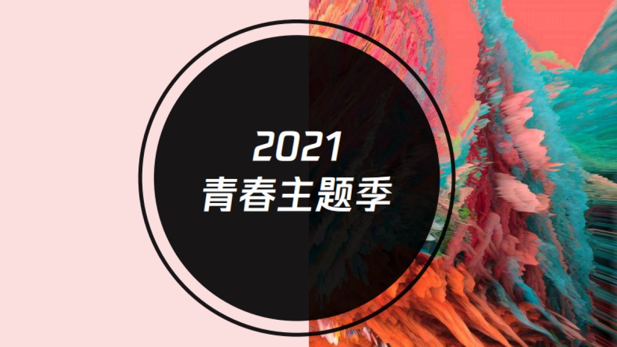 江苏卫视2021年《非诚勿扰》招商方案_第6页