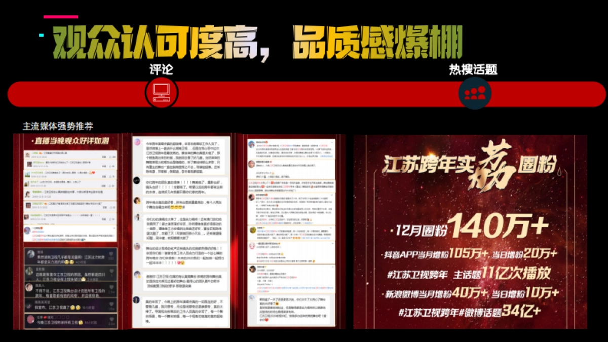 江苏卫视2021年《跨年演唱会》招商方案_第3页