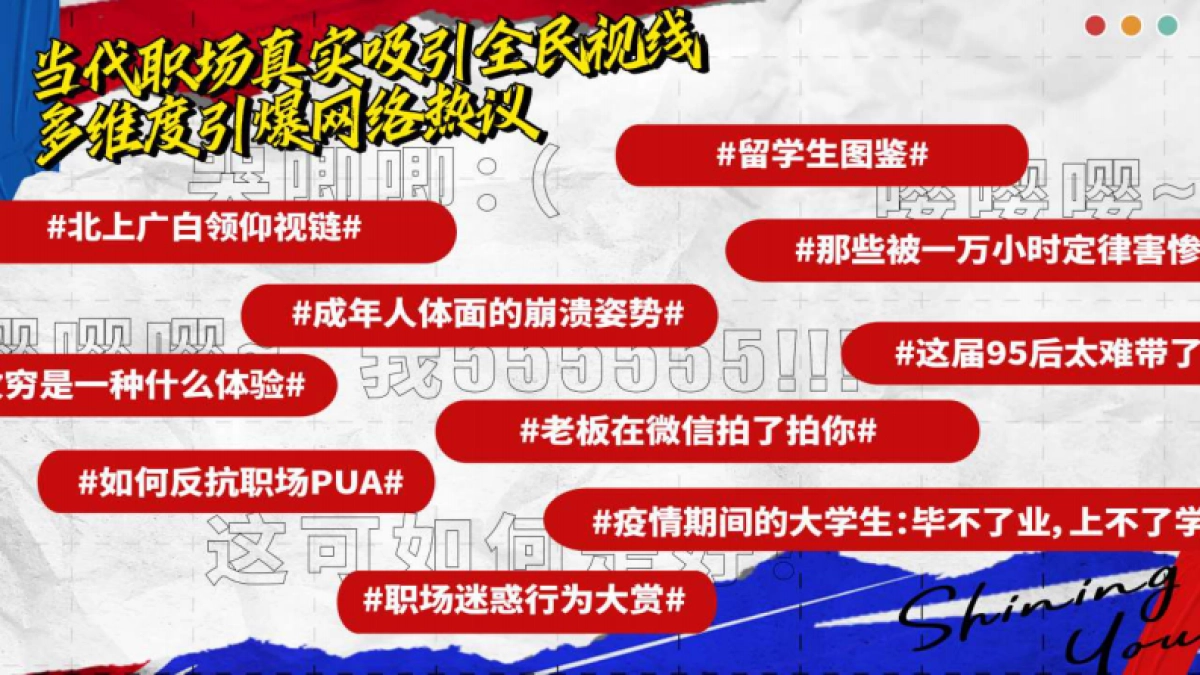 江苏卫视2021年《闪光的你》招商方案_第5页