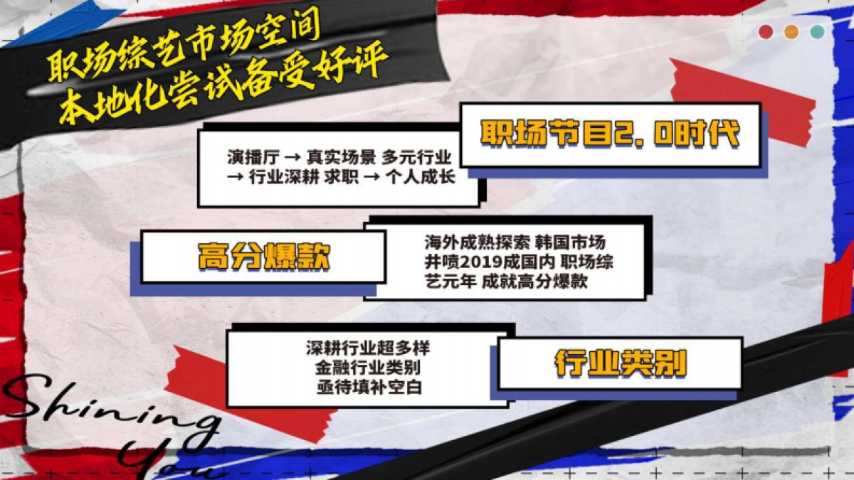 江苏卫视2021年《闪光的你》招商方案_第6页