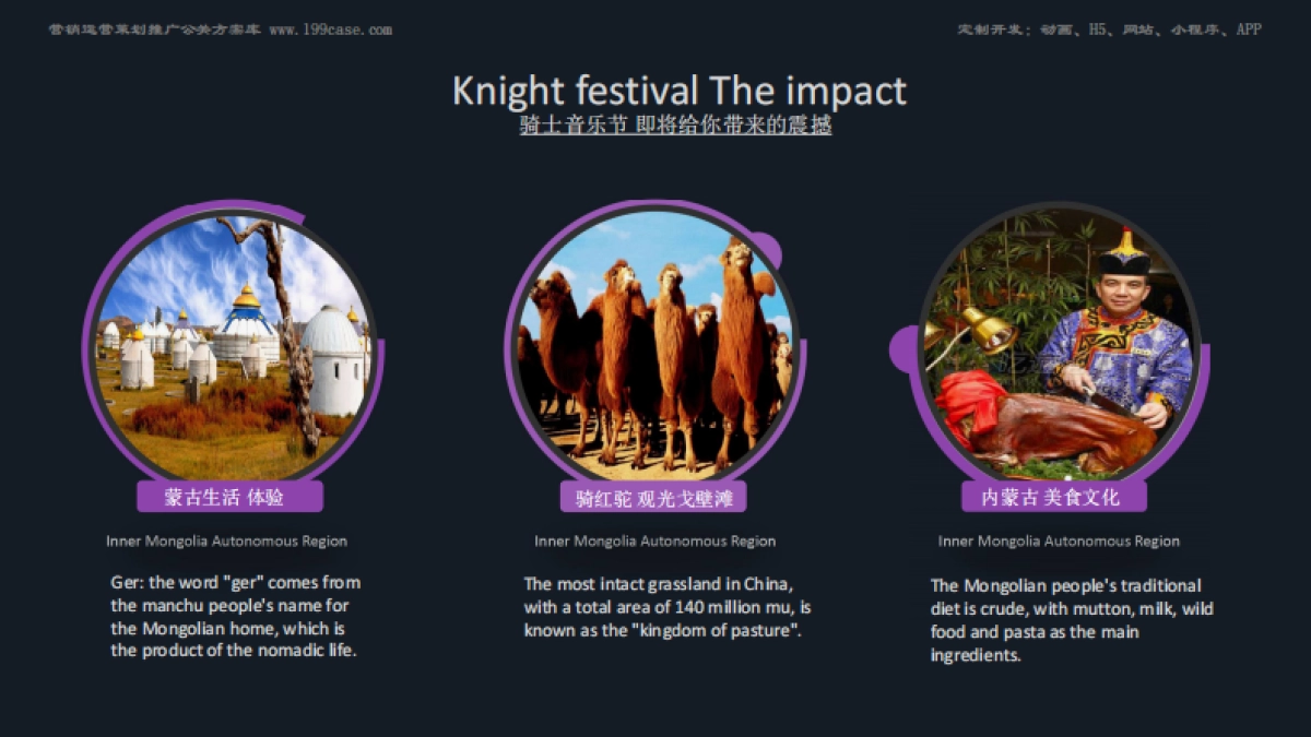 节日-线下-派对-2017内蒙古骑士音乐嘉年华招商方案 _第7页