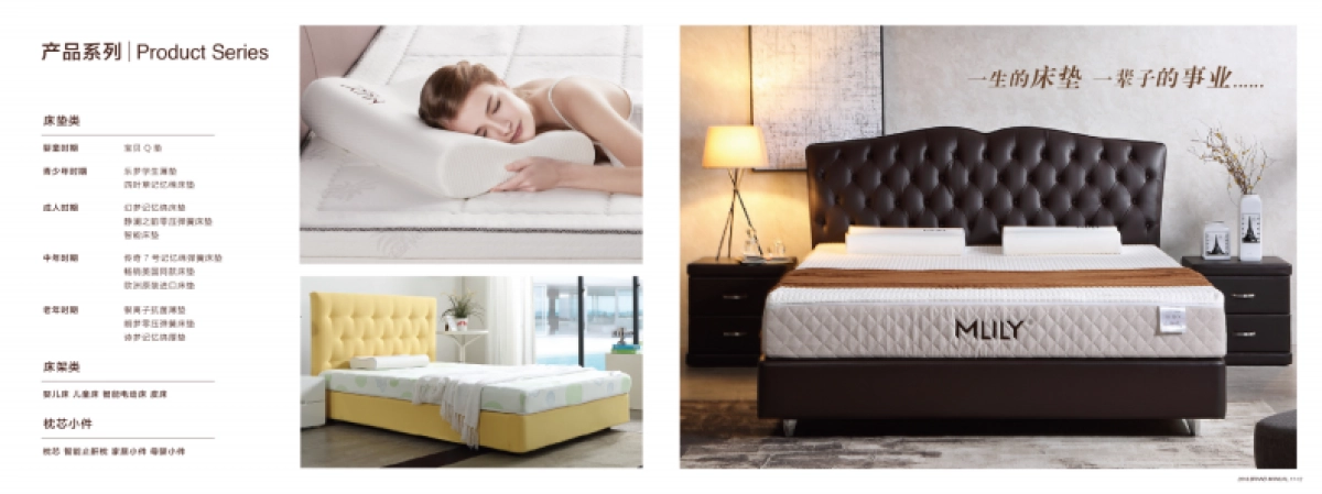 梦百合招商画册_第7页