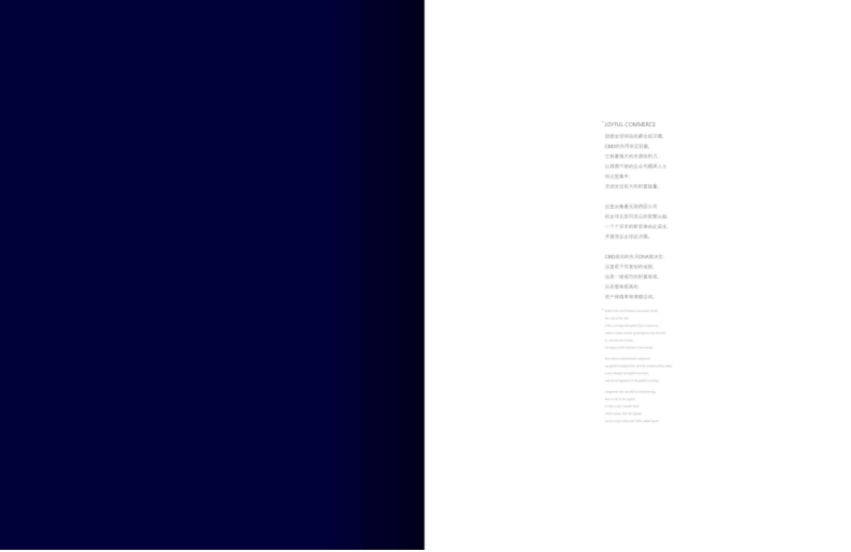 重庆星耀天地招商手册_第2页