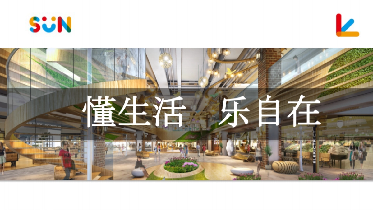 太阳飘亮招商手册_第4页