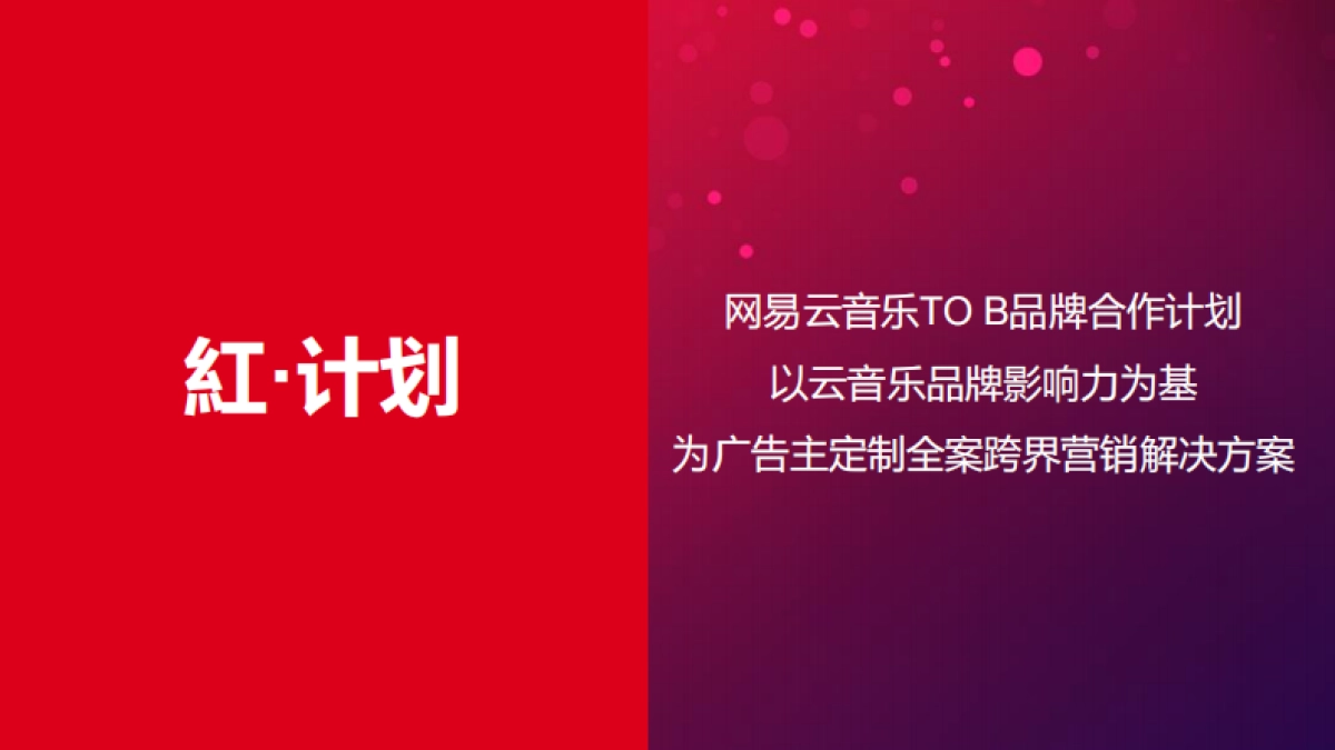 网易云音乐红计划招商方案_第5页