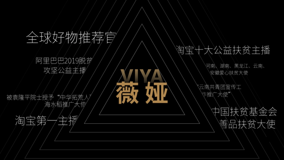 薇娅感恩节招商合作方案_第2页