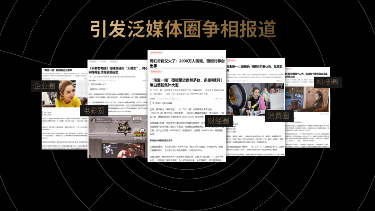 薇娅感恩节招商合作方案_第6页