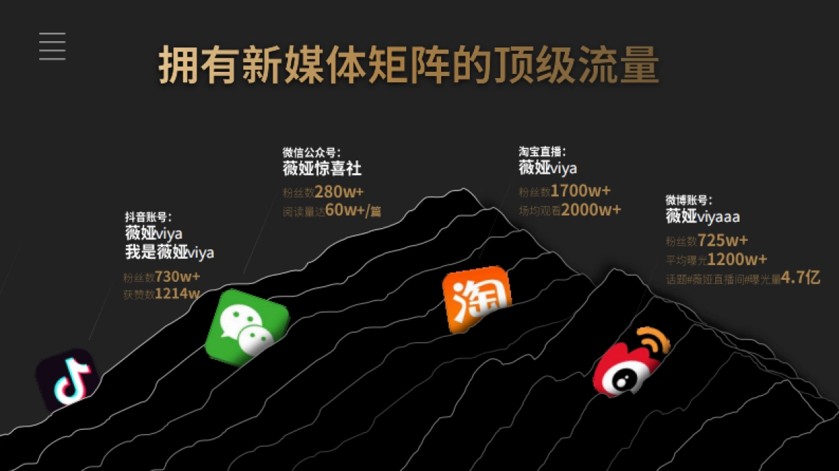 薇娅感恩节招商合作方案_第7页