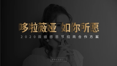 薇娅感恩节招商合作方案