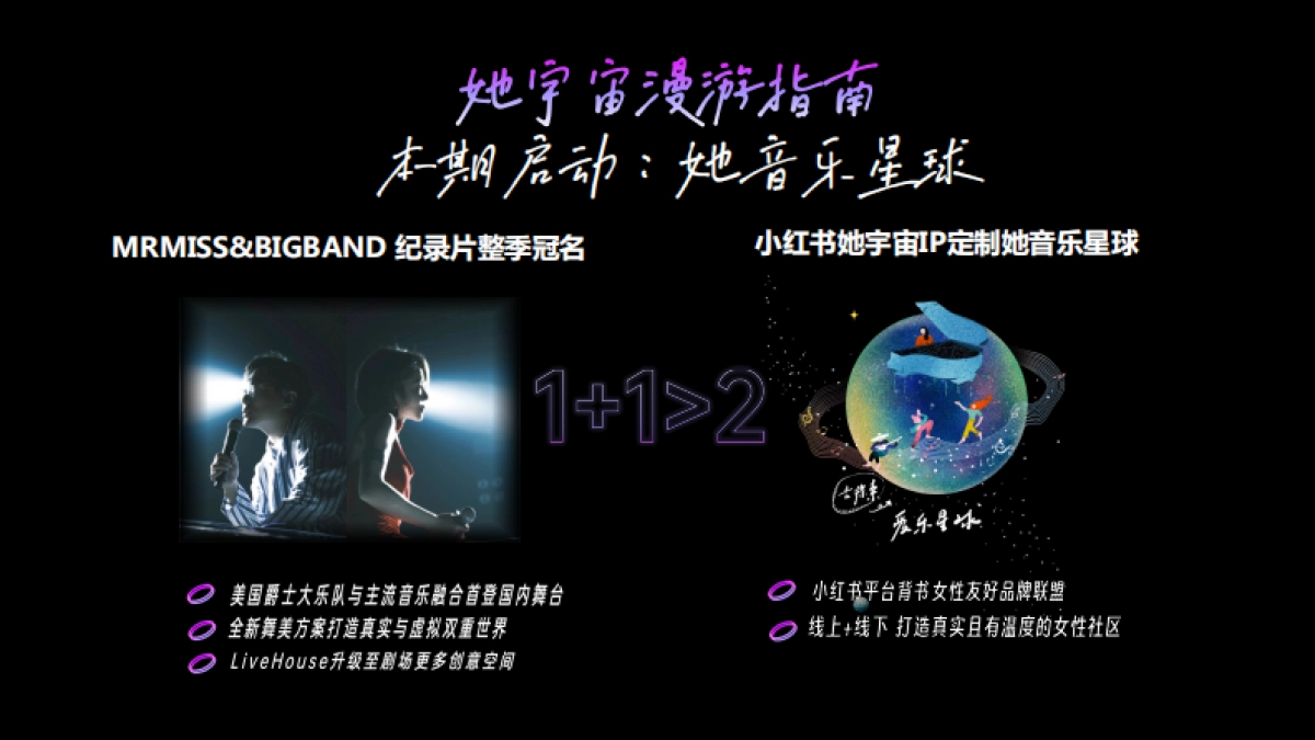 音乐她星球x刘恋音乐会招商方案_第2页
