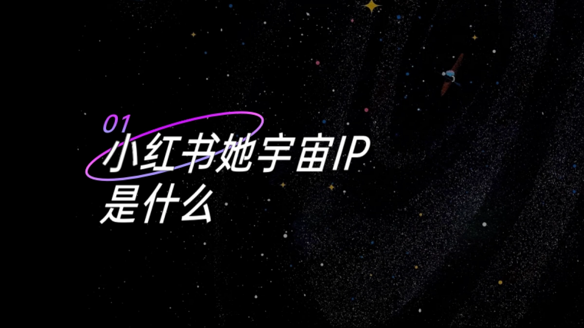 音乐她星球x刘恋音乐会招商方案_第4页