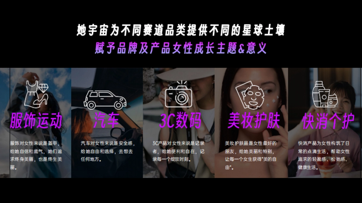 音乐她星球x刘恋音乐会招商方案_第6页