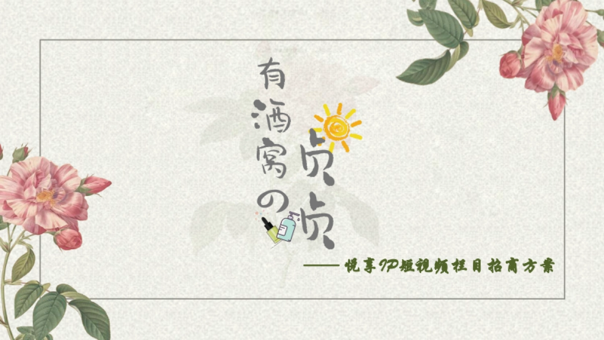 有酒窝的贞贞招商方案_第1页