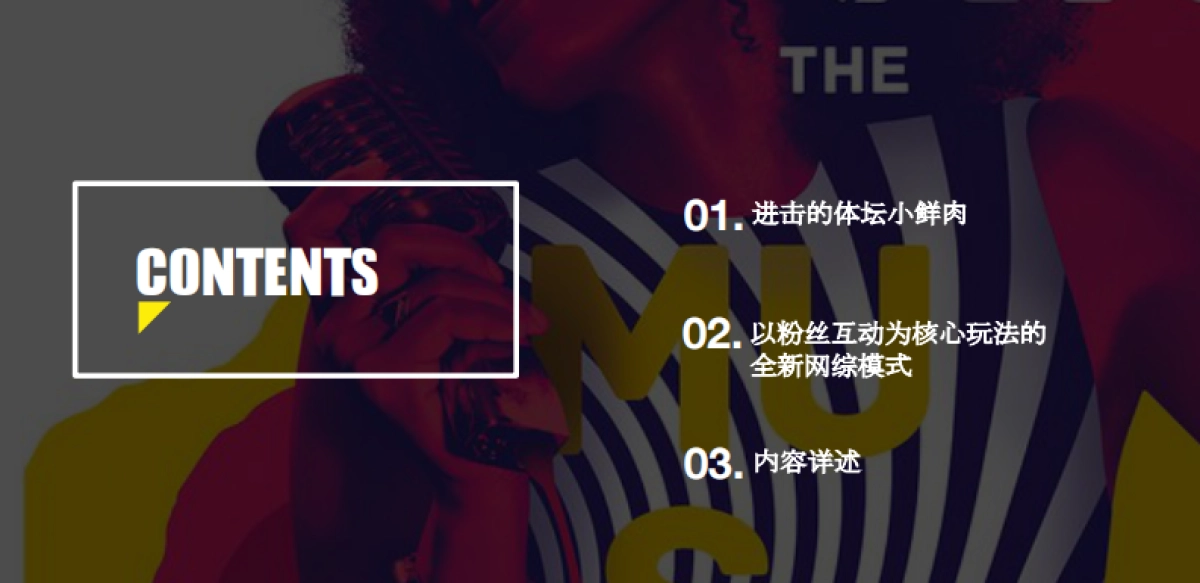 与明星一起KTV综艺招商方案_第2页