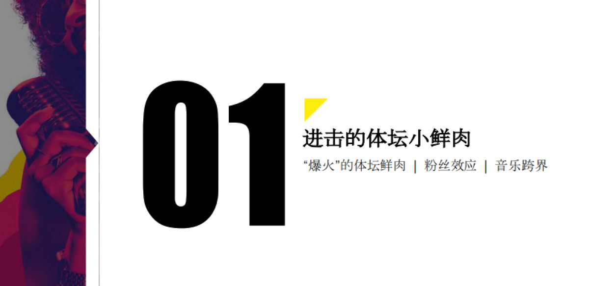 与明星一起KTV综艺招商方案_第3页