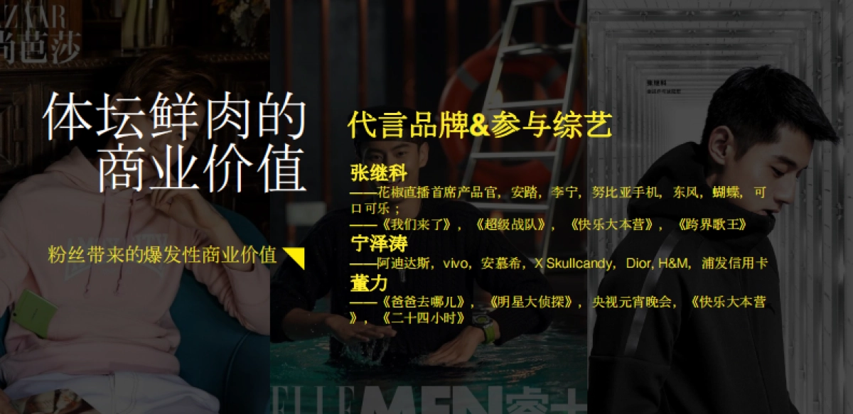 与明星一起KTV综艺招商方案_第8页