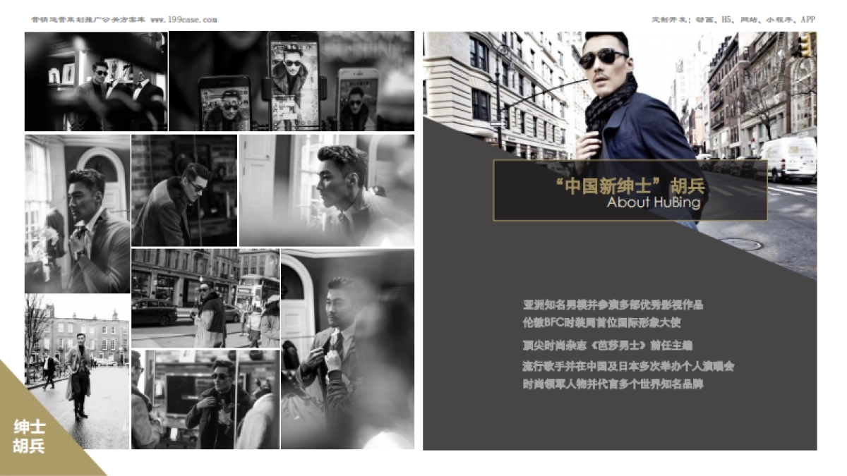 招商-胡兵全球GO项目计划项目-招商方案_第2页