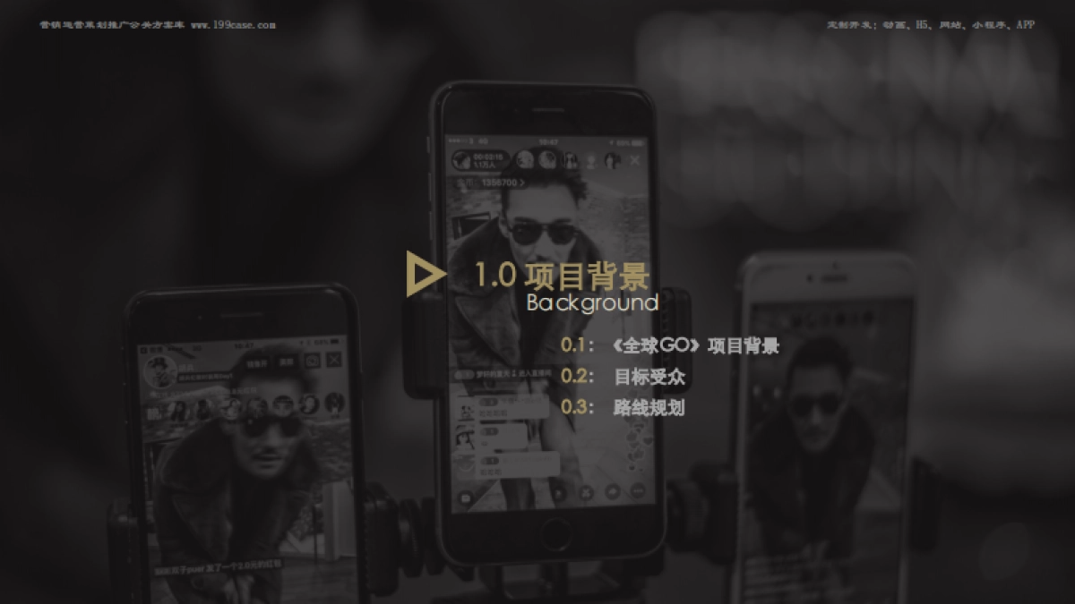 招商-胡兵全球GO项目计划项目-招商方案_第4页