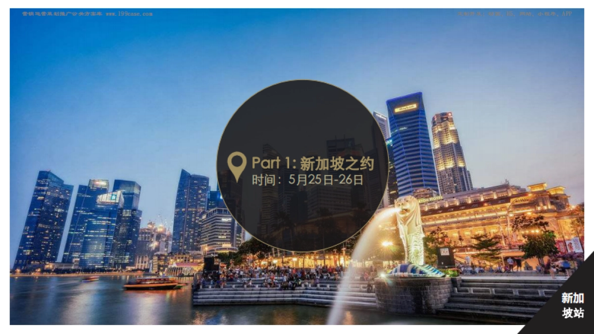 招商-胡兵全球GO项目计划项目-招商方案_第9页