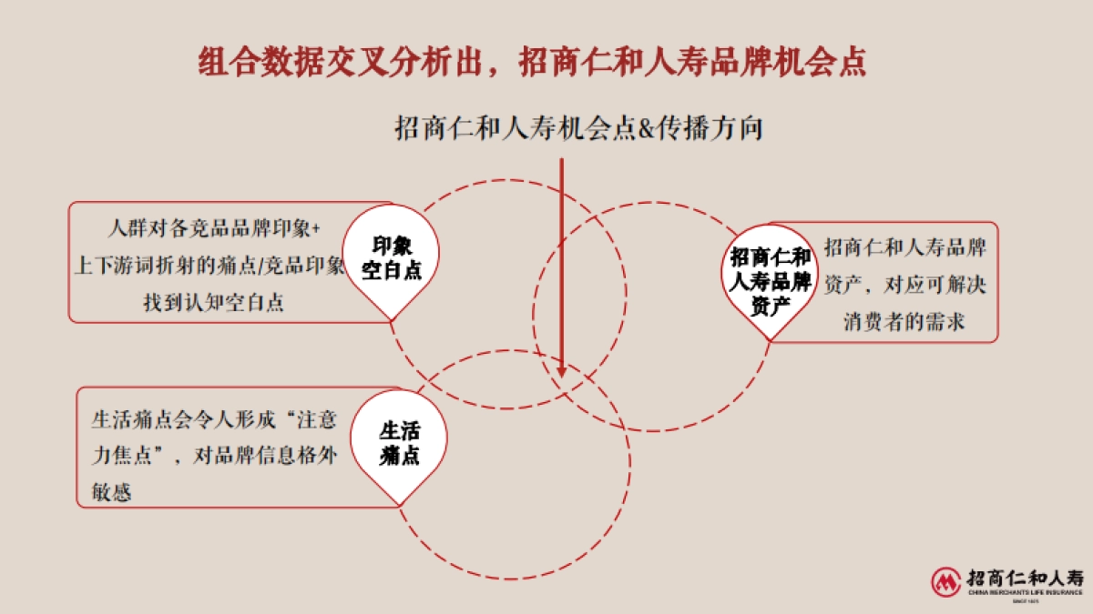 招商仁和人寿2017品牌传播策略方案终版_第5页