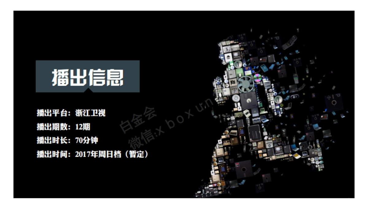 浙江卫视-脑洞实验室-招商方案_第2页