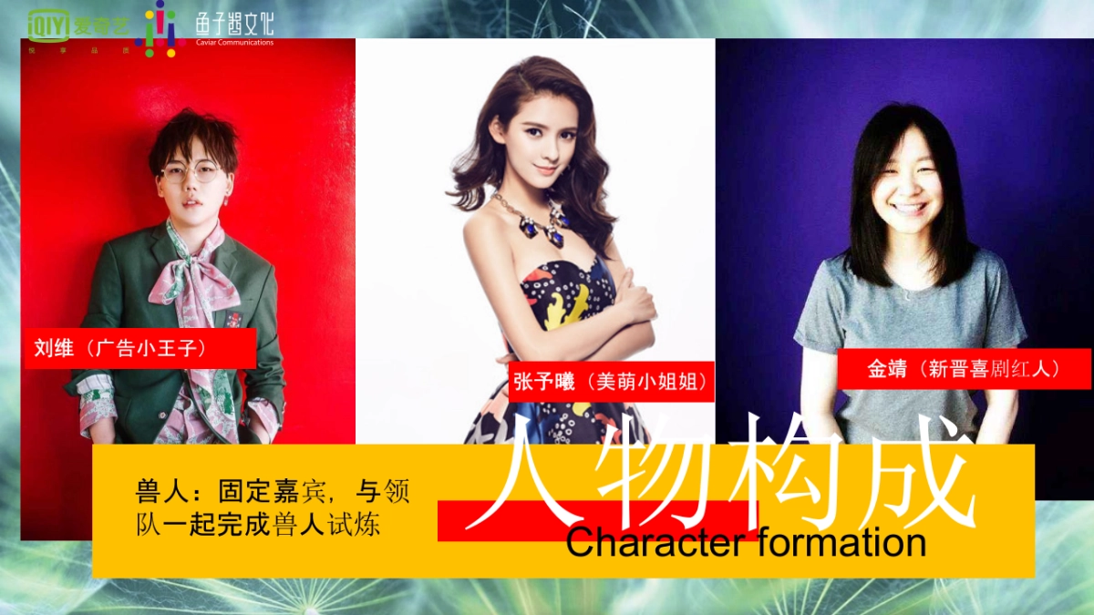 2017爱奇艺自制综艺《了不起的兽人族》招商方案_第6页