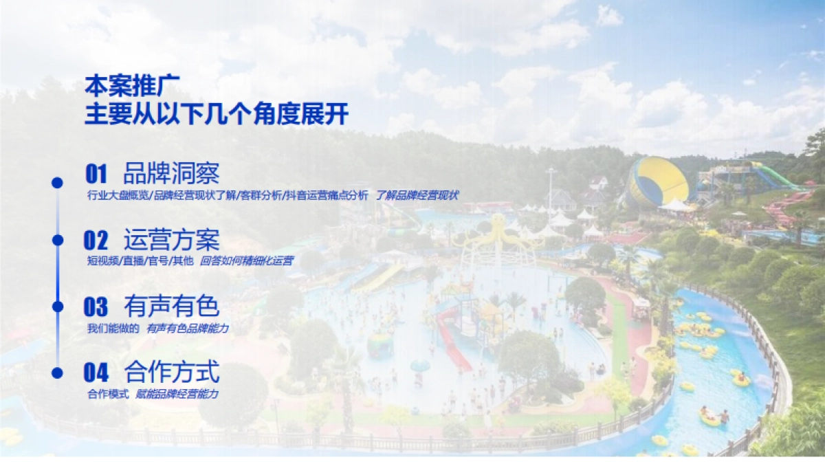 枫叶谷水上乐园抖音代运营策划案.pdf_第2页