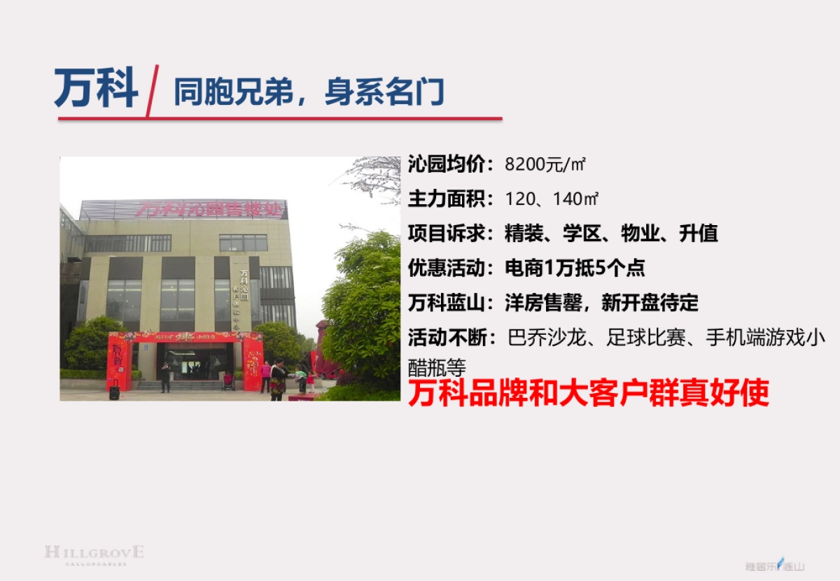 镇江雅居乐涟山二期策略报告_第7页