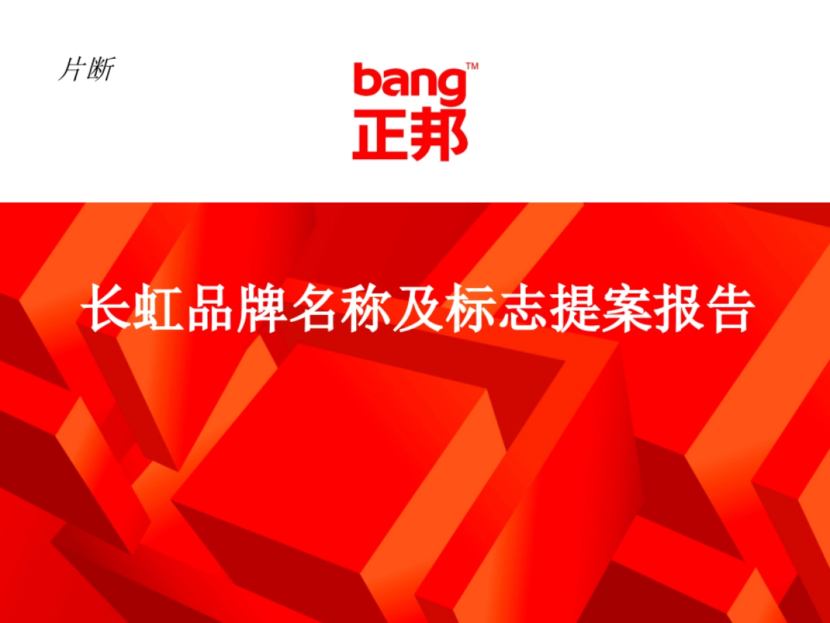 正邦-长虹品牌名称及标志提案报告_第1页