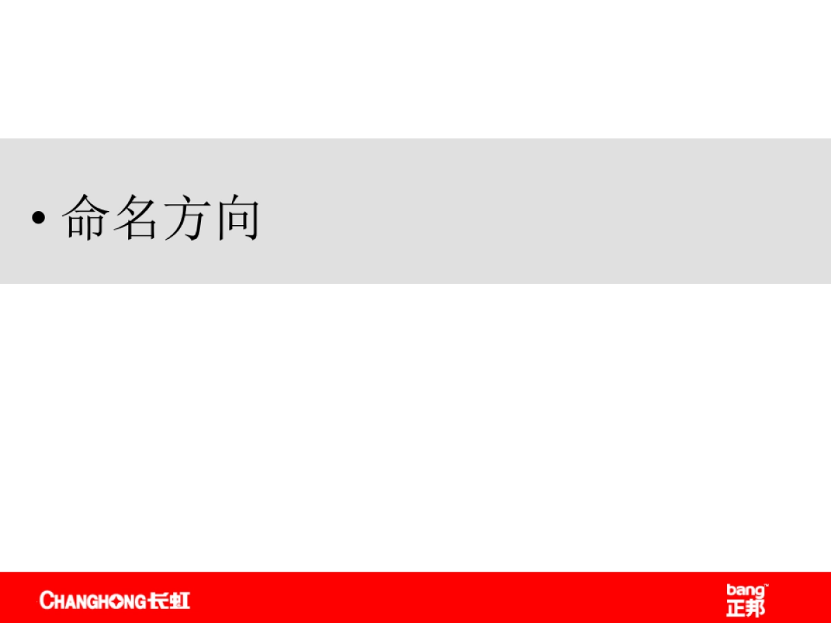 正邦-长虹品牌名称及标志提案报告_第2页