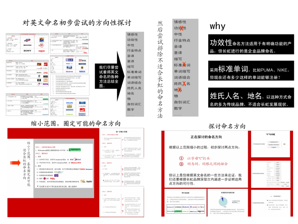 正邦-长虹品牌名称及标志提案报告_第3页