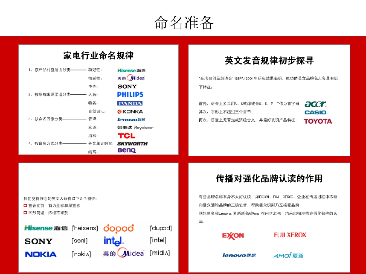 正邦-长虹品牌名称及标志提案报告_第5页