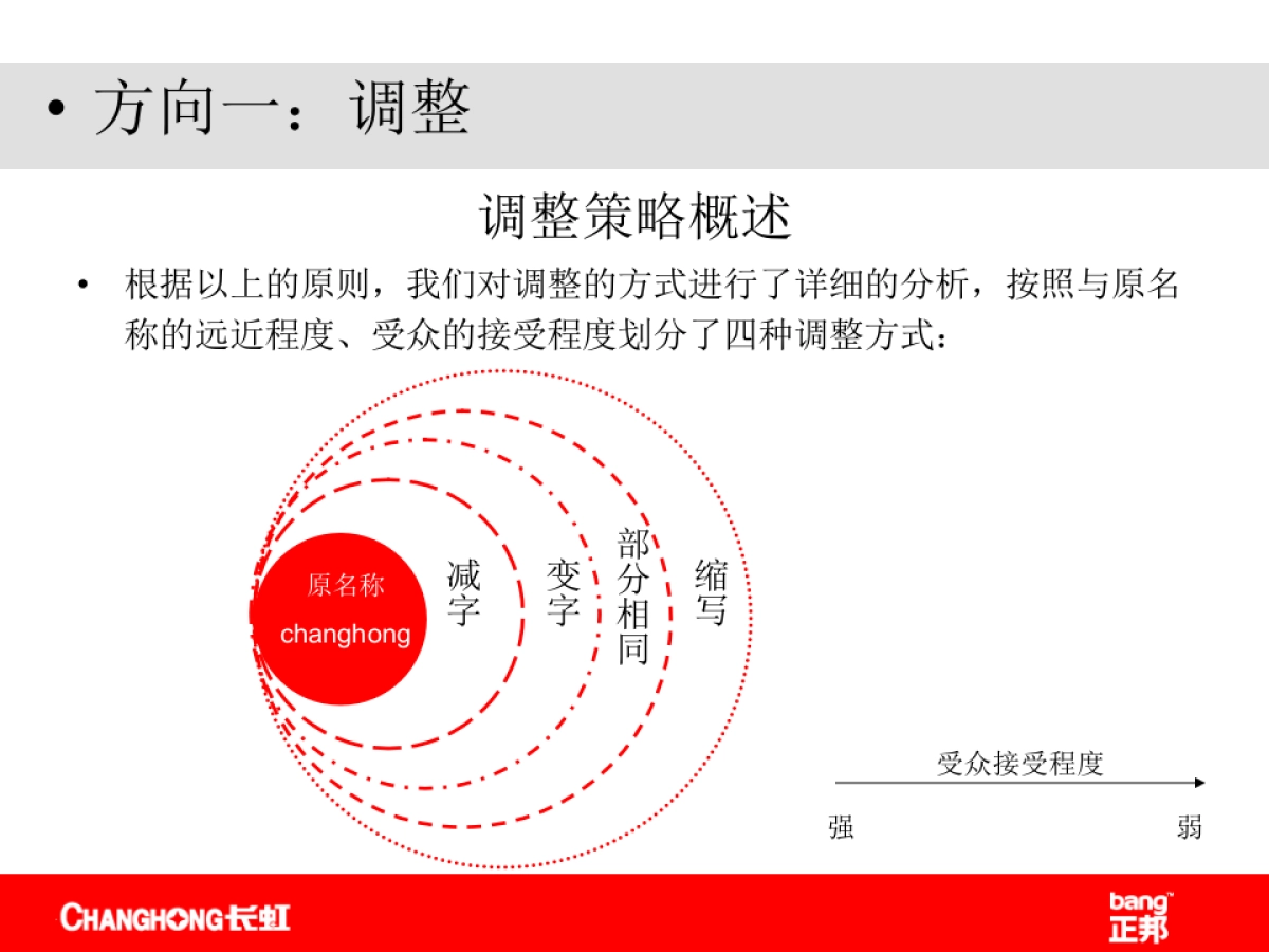 正邦-长虹品牌名称及标志提案报告_第6页