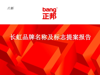 正邦-长虹品牌名称及标志提案报告