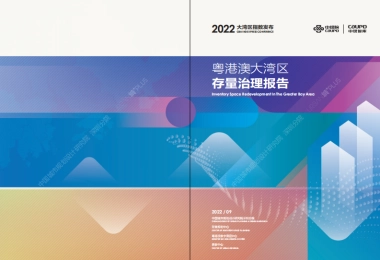 中规院：2022粤港澳大湾区存量治理报告