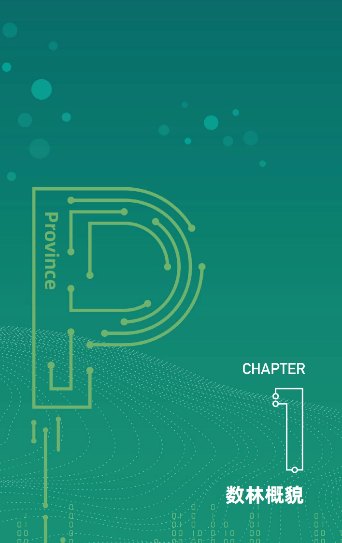 2021年度中国地方政府数据开放报告-中国开放数林指数&复旦智库-105页_第7页