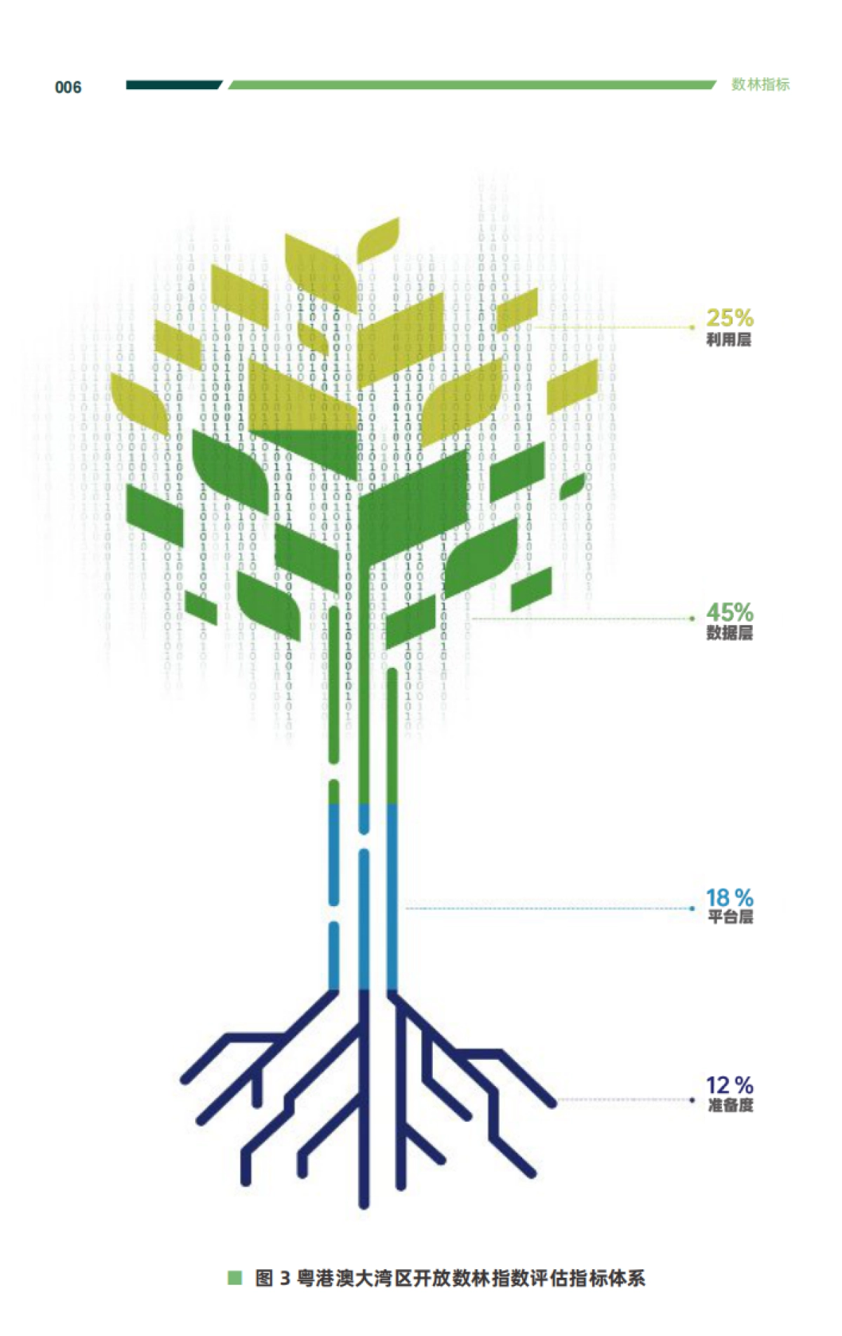 2021粤港澳大湾区政府数据开放报告-中国开放数林指数&复旦-45页_第9页
