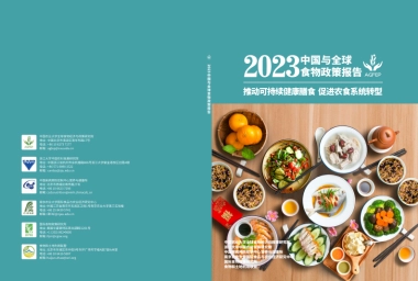 国际食物政策研究所：2023中国与全球食物政策报告
