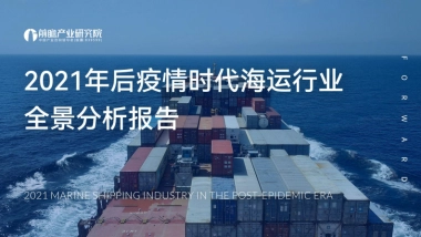 2021年后疫情时代海运行业全景分析报告-前瞻产业研究院-52页