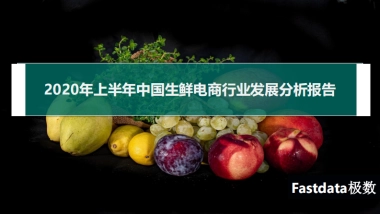 2020年上半年中国生鲜电商行业发展分析报告-Fastdata极