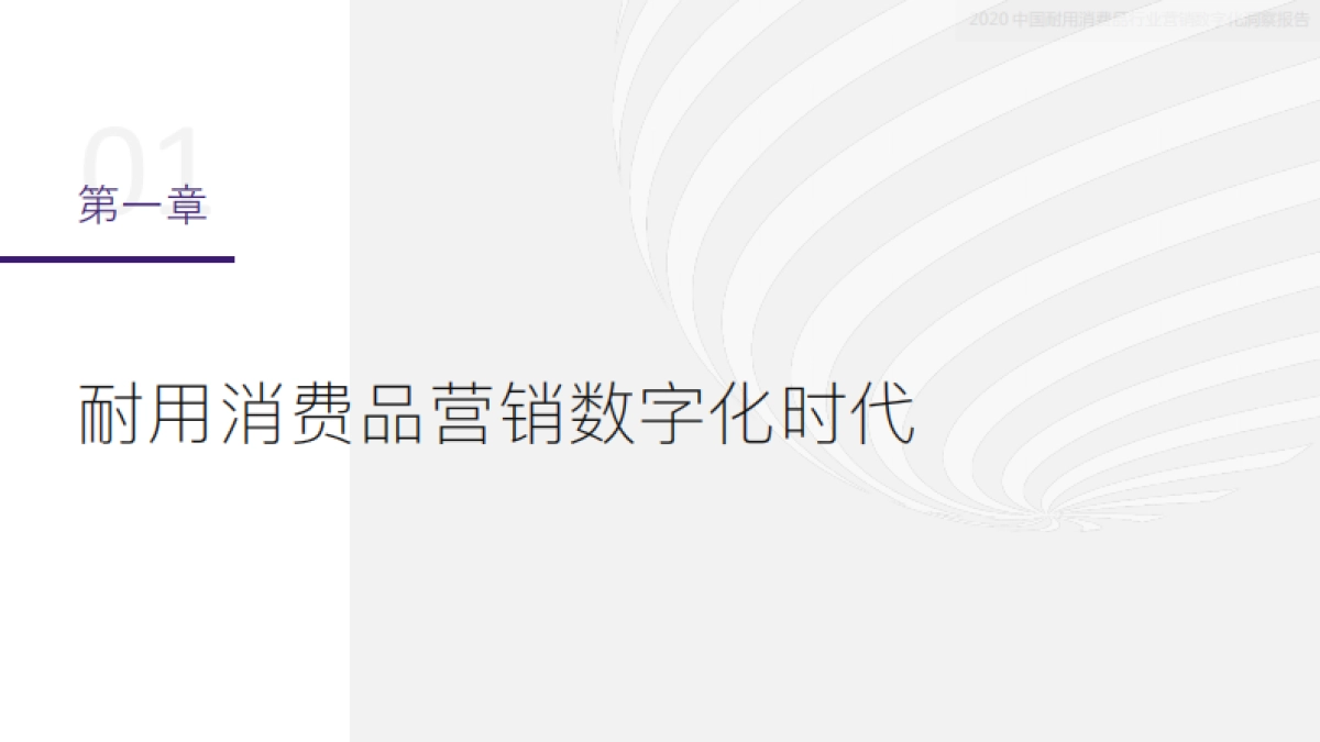 2020中国耐用消费品行业营销数字化洞察报告-弯弓x私域流量观察xJINGDIGITAL_第5页