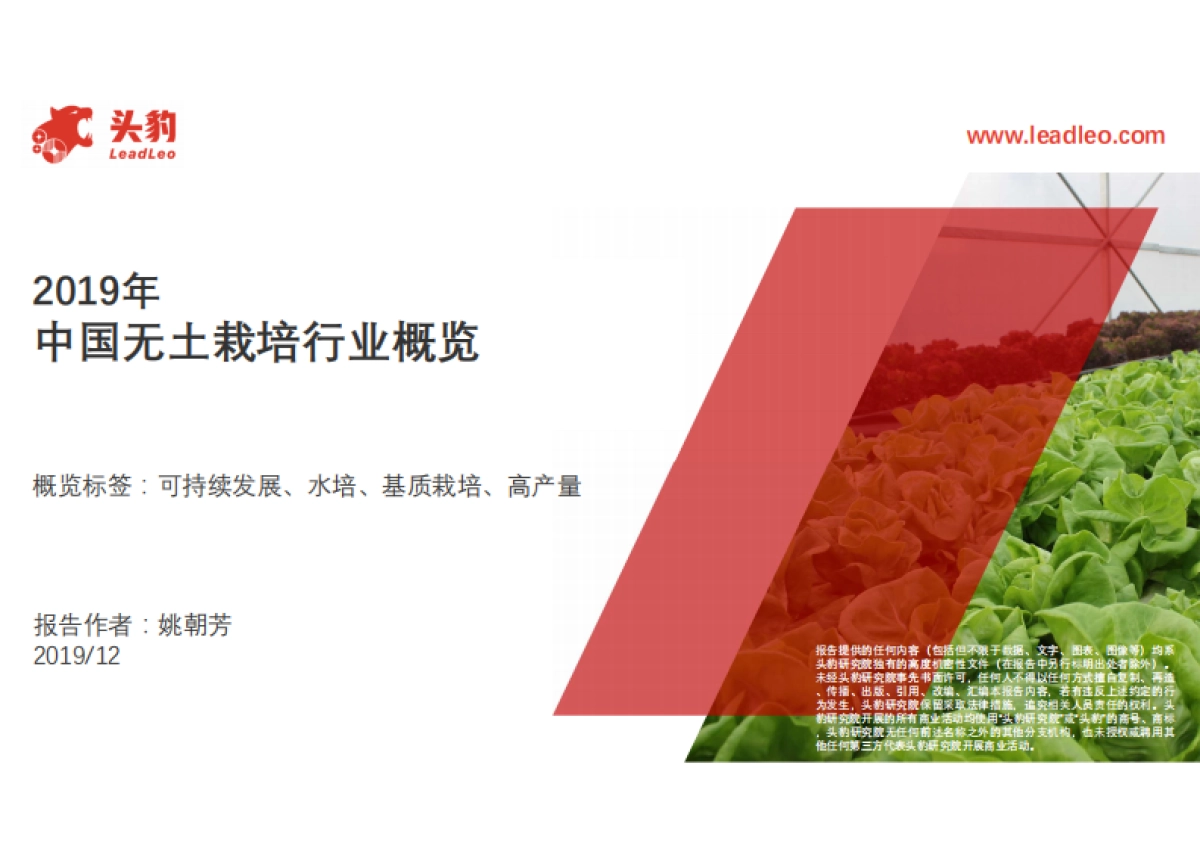 农业:2019年中国无土栽培行业概览_第1页