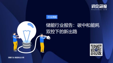 储能行业报告：碳中和能耗双控下的新出路-洞见研报-24页