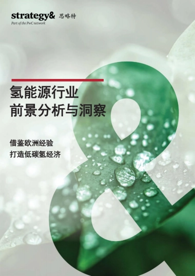 普华永道-氢能源行业前景分析与洞察：借鉴欧洲经验，打造低碳氢经济