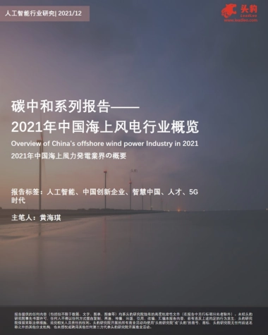 头豹研究院_碳中和系列报告——2021年中国海上风电行业概览