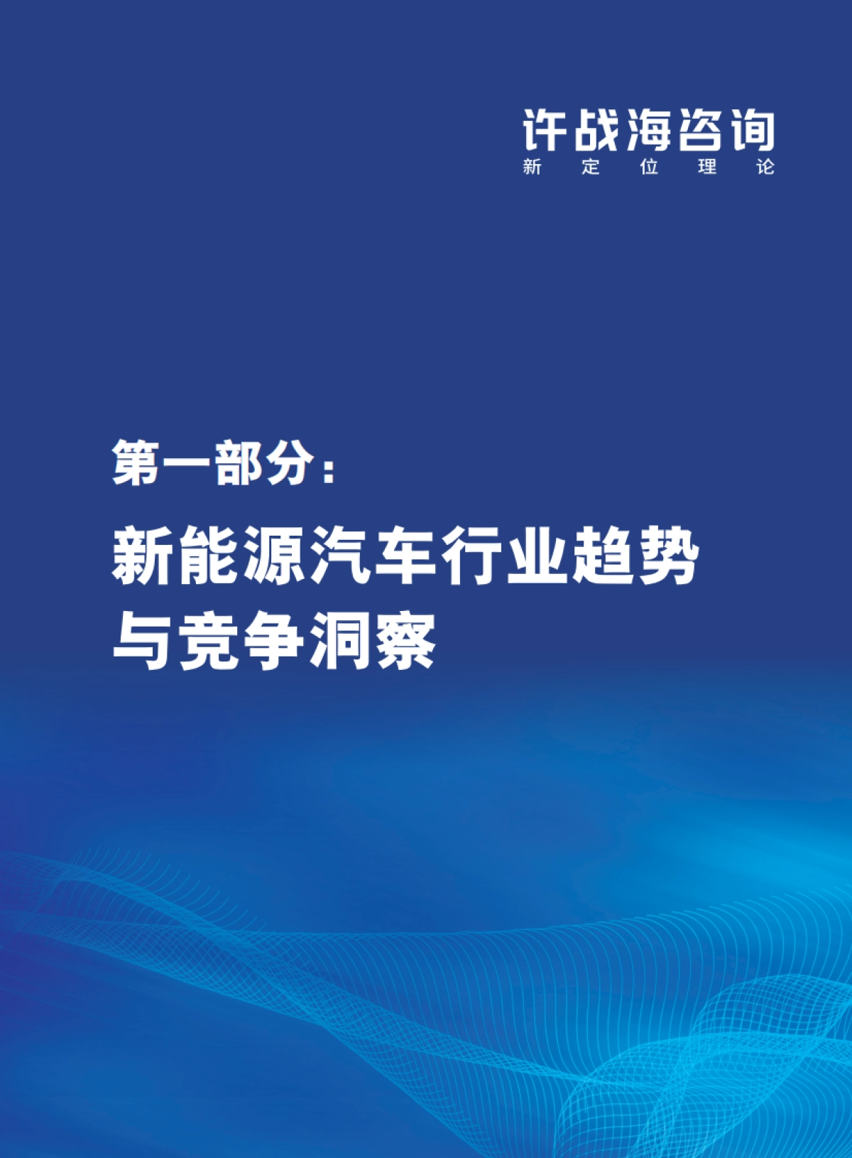 许战海咨询：2023中国汽车行业新能源转型战略白皮书_第5页