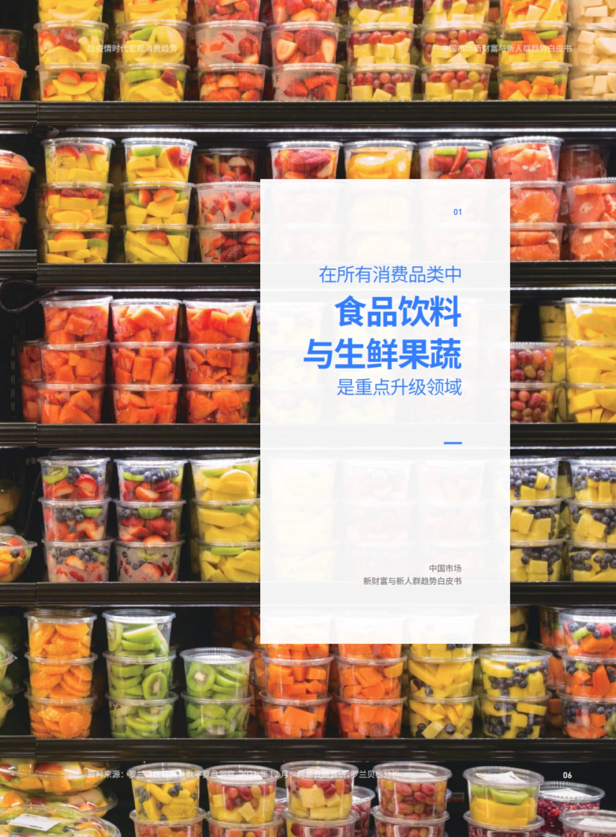2022中国市场新财富与新人群趋势白皮书-把脉中国消费行业趋势-罗兰贝格 &网易云-27页_第8页